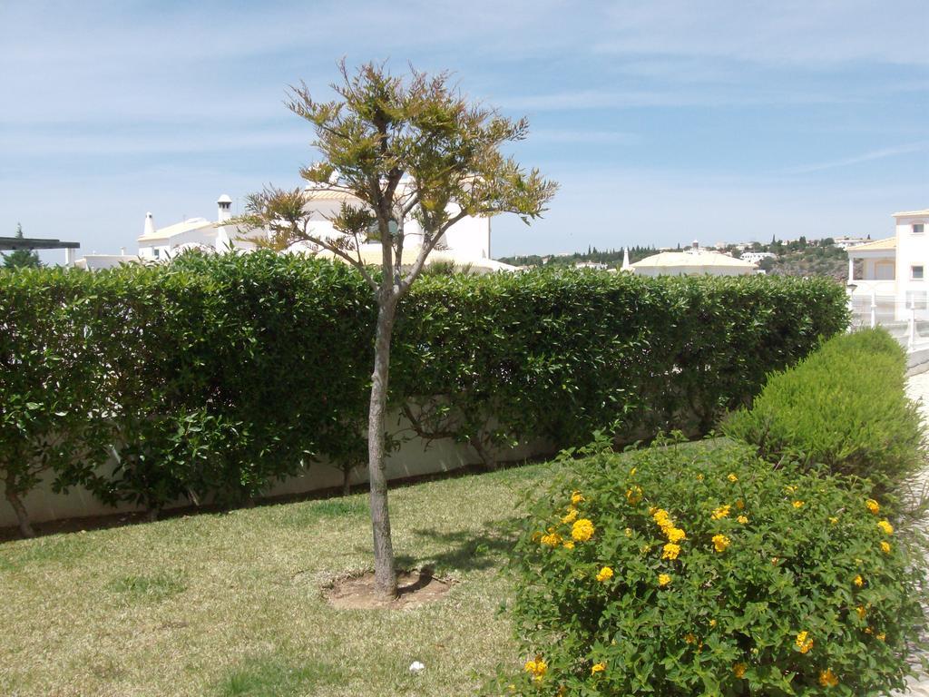 Apartamento Sunny Velamar Patroves 외부 사진